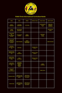 PTI CURRICULUM RANK CHART 20" X 30" Poster