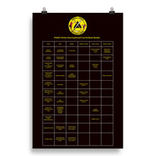 Load image into Gallery viewer, PTI CURRICULUM RANK CHART 20&quot; X 30&quot; Poster