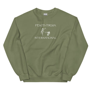 PTI Sweatshirt. Pekiti Fighters front, Footwork Diagram back. White Ink on 8 Color Options.