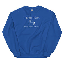 Load image into Gallery viewer, PTI Sweatshirt. Pekiti Fighters front, Footwork Diagram back. White Ink on 8 Color Options.
