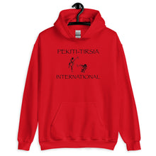 Load image into Gallery viewer, PTI Hoodie. PTI Fighters front. Footwork Diagram back. 6 Color Options